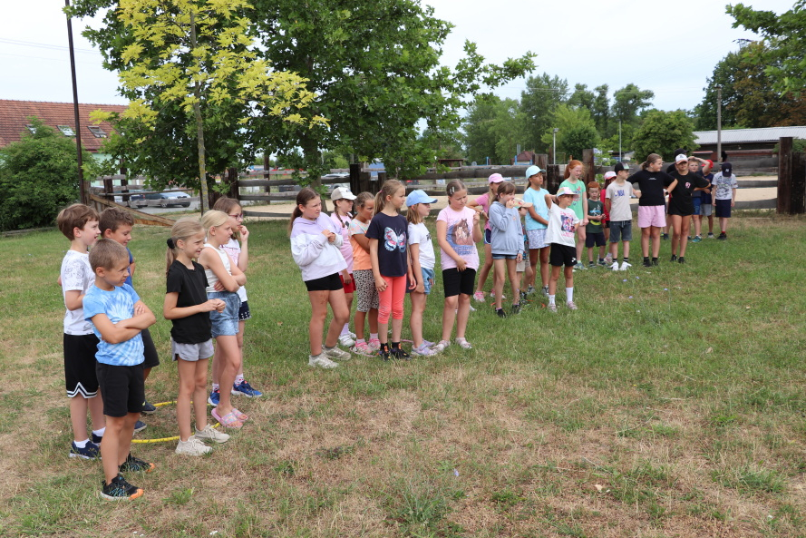 IMG_8291.JPG