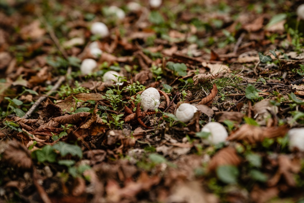 andreamyska_270926-61.jpg