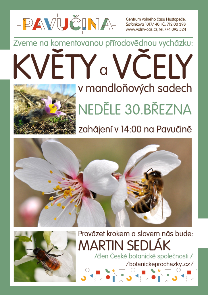 Květy a včely v mandloňových sadech