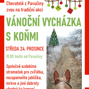 Vánoční vycházka s koňmi