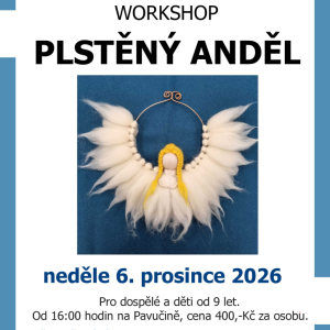 PLSTĚNÝ ANDĚL - workshop