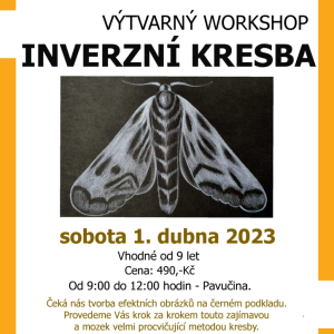 INVERZNÍ KRESBA
