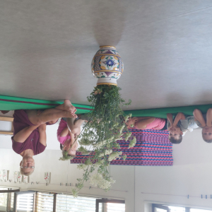 20230720_081807.jpg