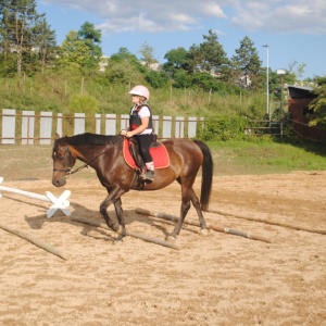 DSC_0803.JPG