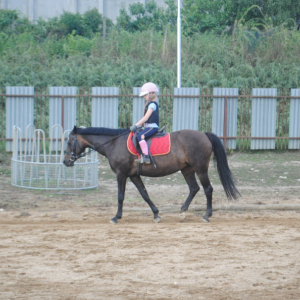 DSC_0839.JPG
