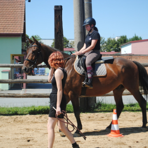 DSC_0986.JPG