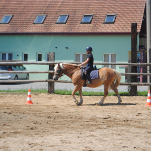 DSC_1011.JPG