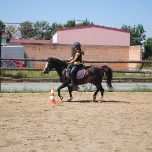 DSC_1088.JPG