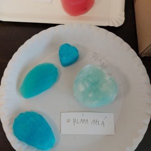 20230811_105839.jpg