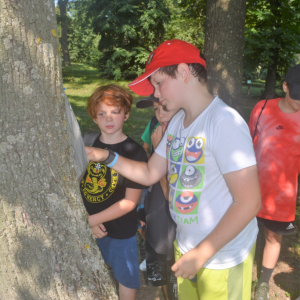 DSC_0263.JPG