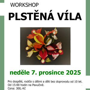 Plstěná víla - workshop