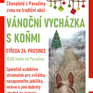 Vánoční vycházka s koňmi