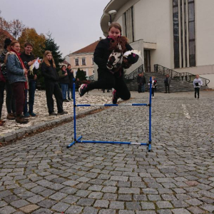 Hobby horsing v průvodu se Svatým Martinem